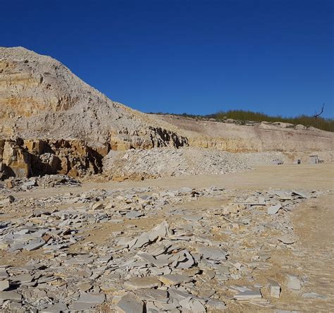 warfield fossils kemmerer wyoming.